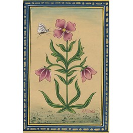 Fleur indienne