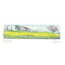 Paysage pommier Paysage pommier