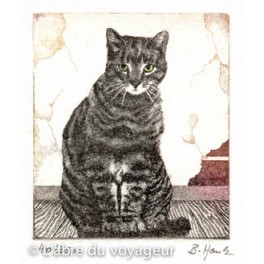 Le chat Le chat